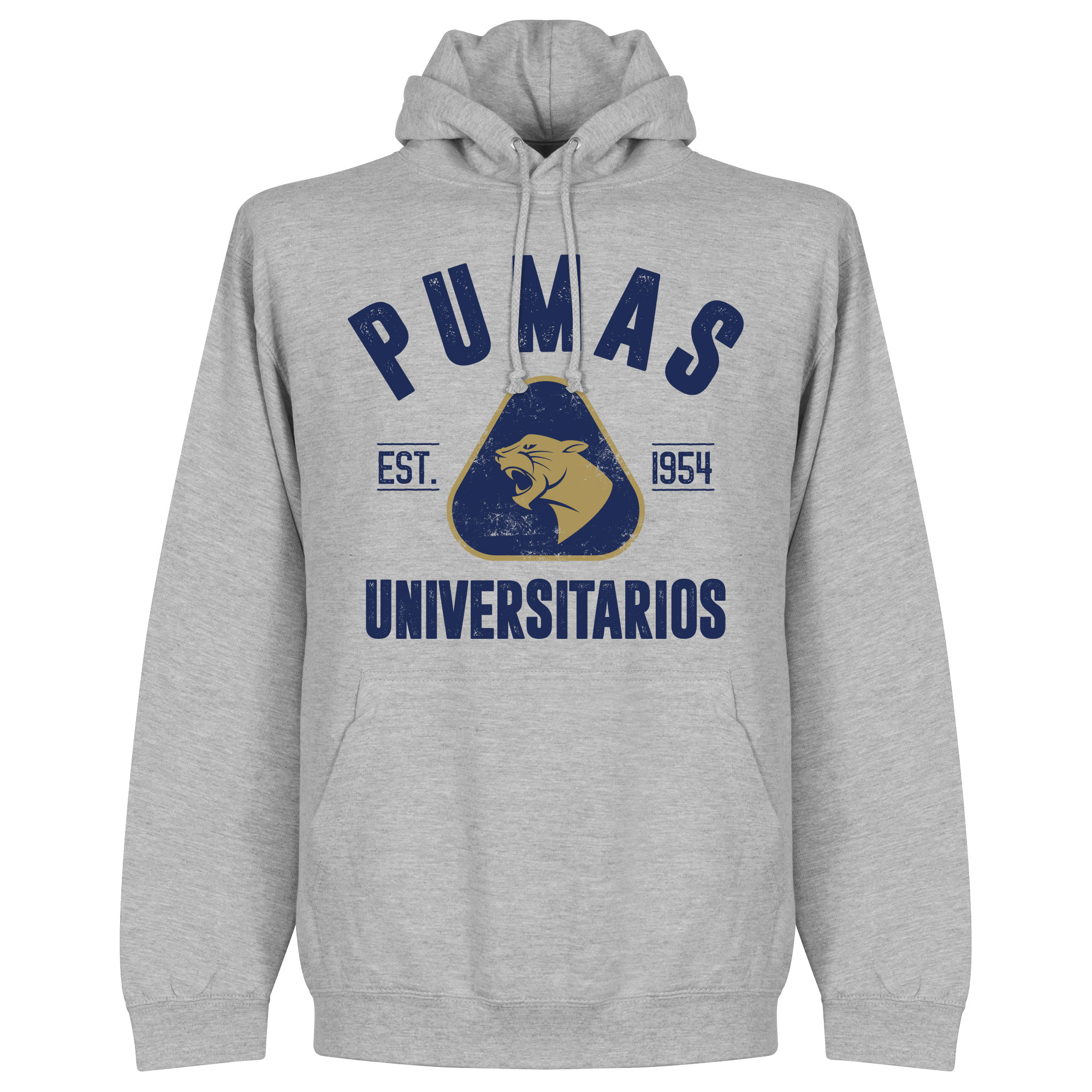 Pumas Unam Established Hoodie Grijs S