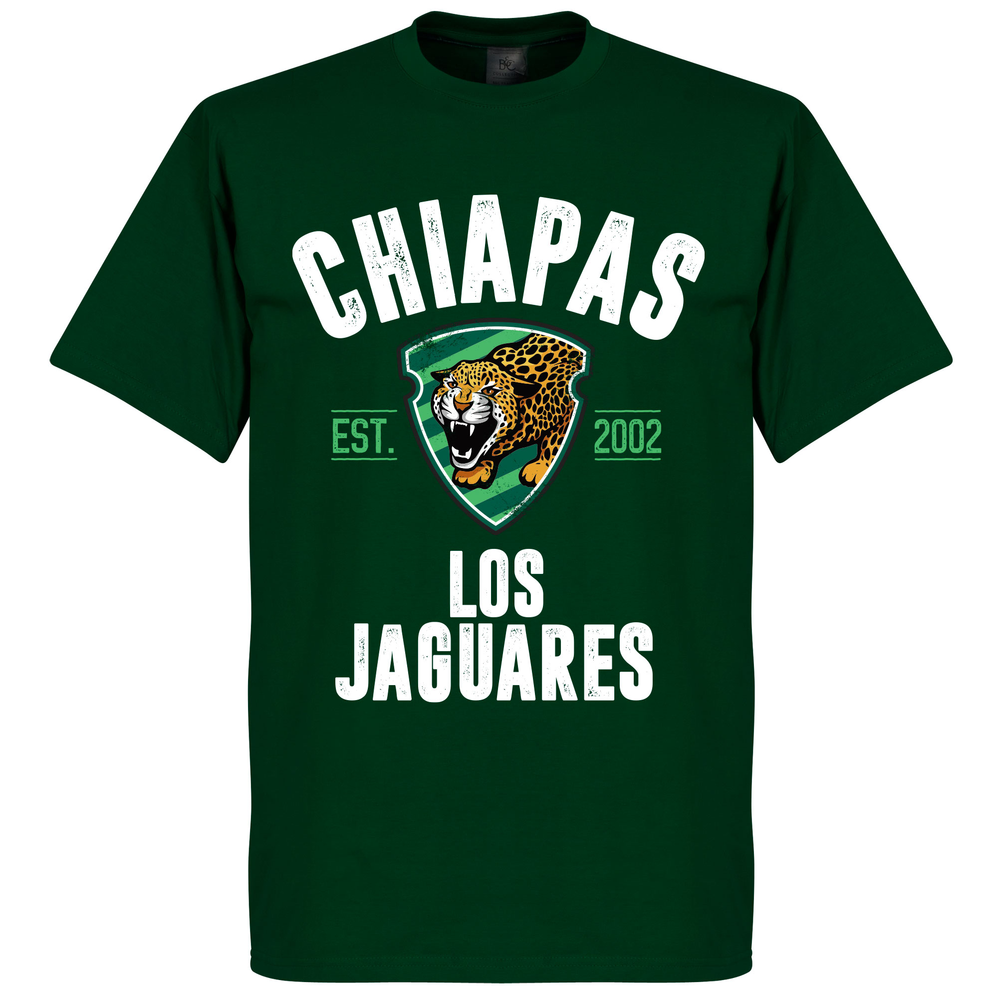 Chiapas Estabished T-Shirt - Donkergroen